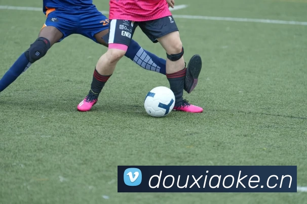 韦德·官方端入口 - 韦德(中国)平台生态图